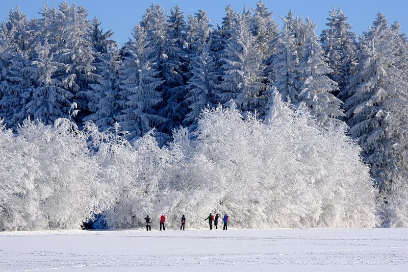 Winter Wonderland